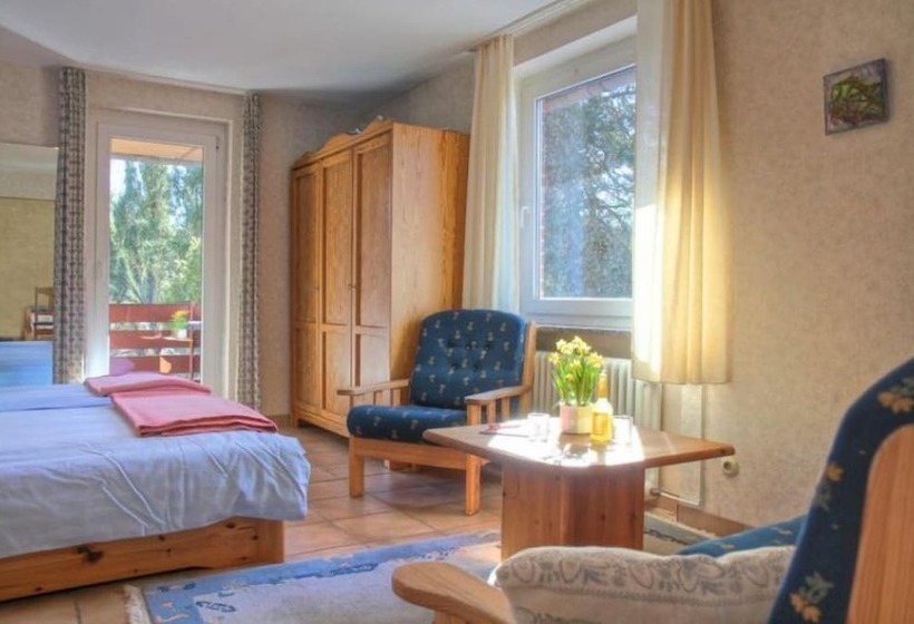 Номер Стандарт, Biohotel Spöktal