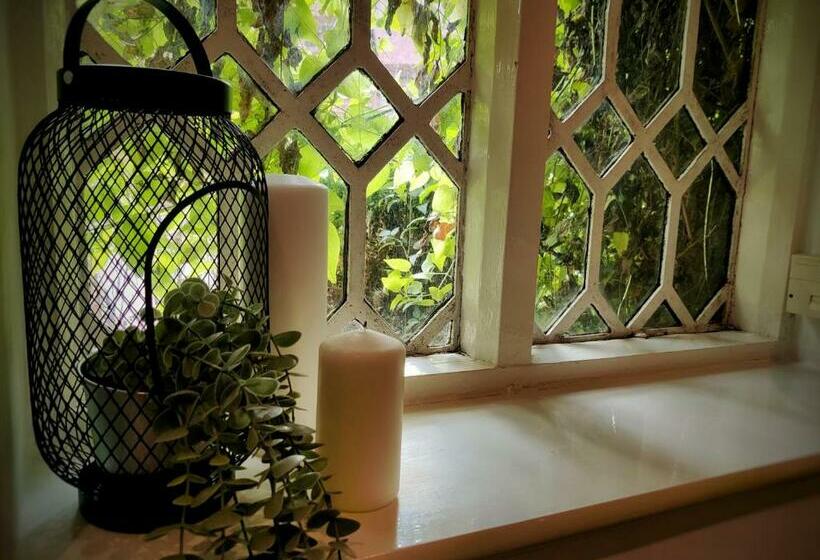 آپارتمان 1 خوابه همکف, The Dolphin Inn