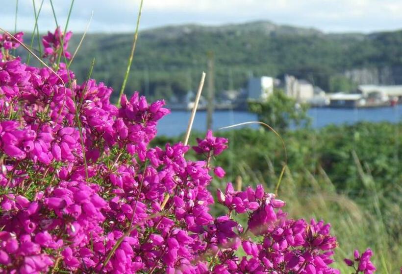 חדר סופריור נוף לים, Davar