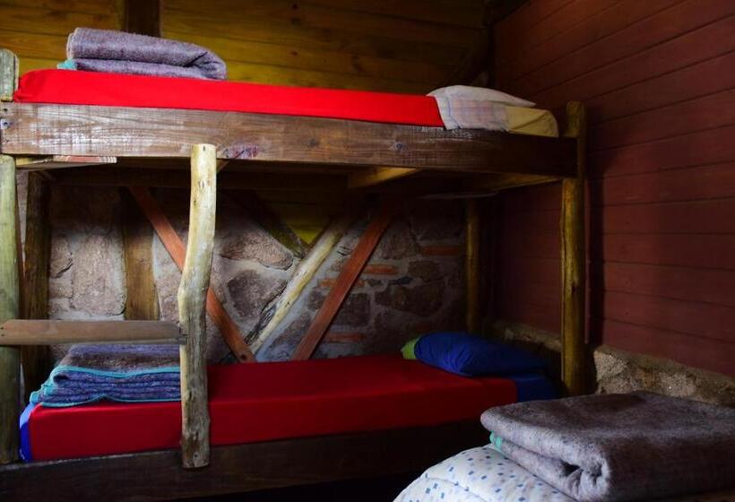 Кровать в Общей Комнате, Hostel Al Infinito