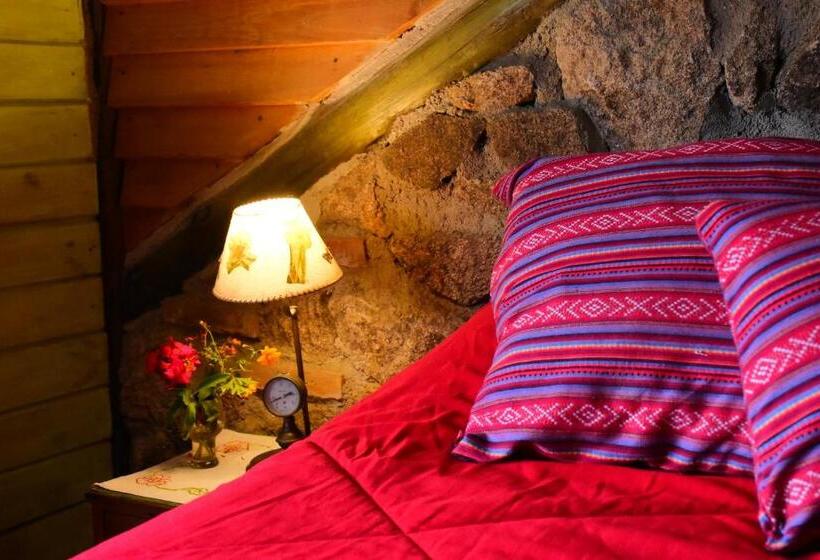Номер Стандарт, Hostel Al Infinito