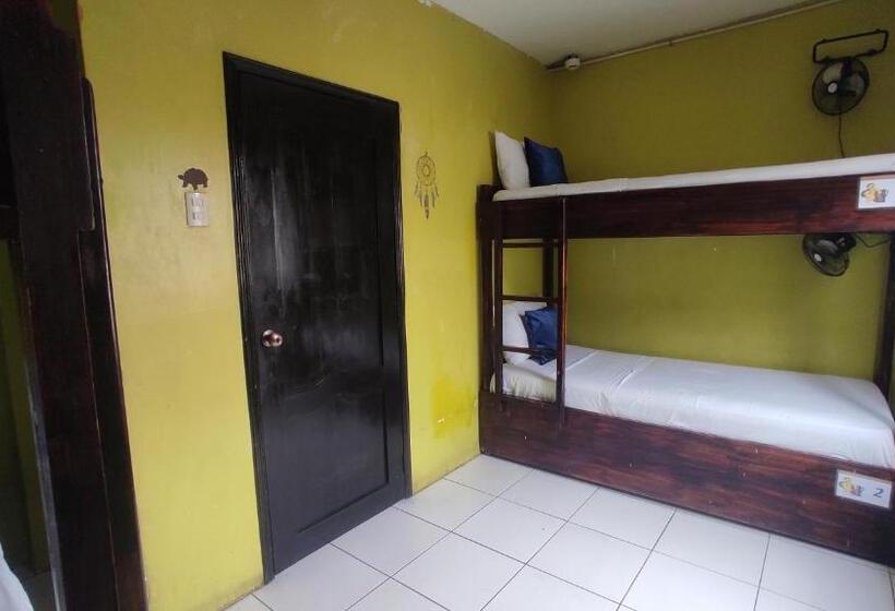 تختخواب در اتاق مشترک, Dreamkapture Hostel Close To The Airport And Bus Terminal