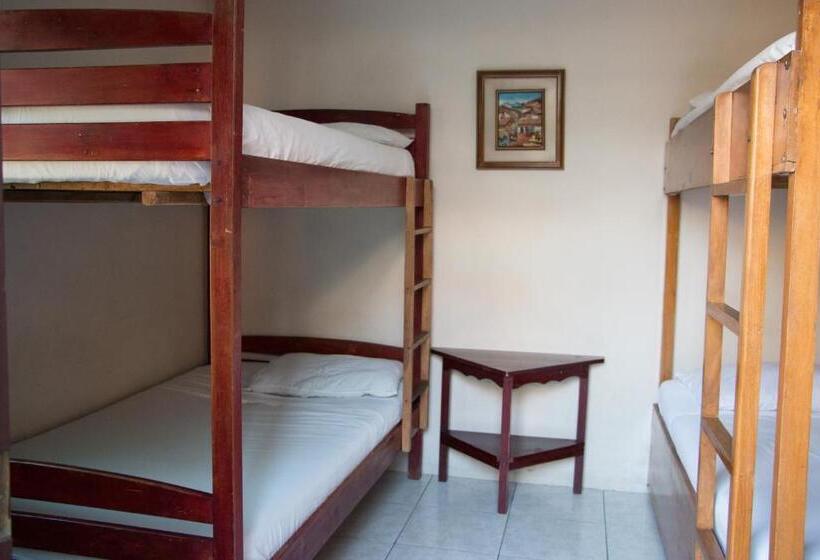 تختخواب در اتاق مشترک, Dreamkapture Hostel Close To The Airport And Bus Terminal