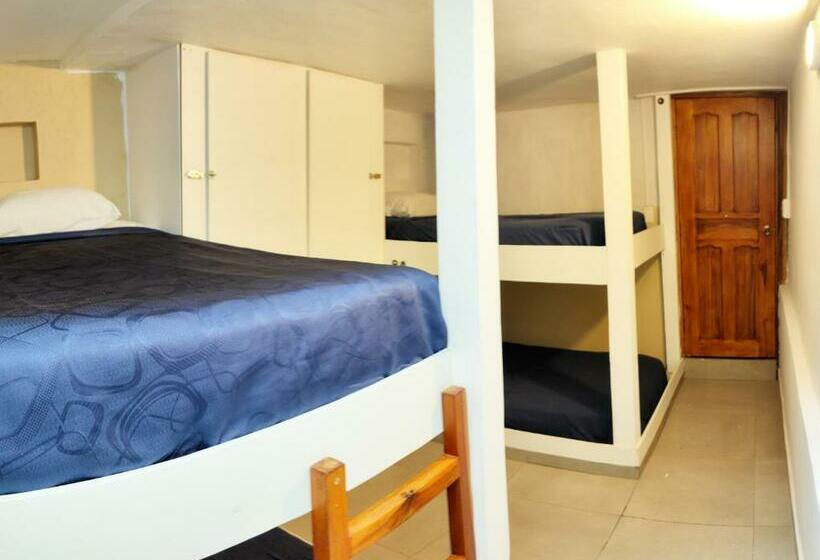 تختخواب در اتاق مشترک, Minka Hostel