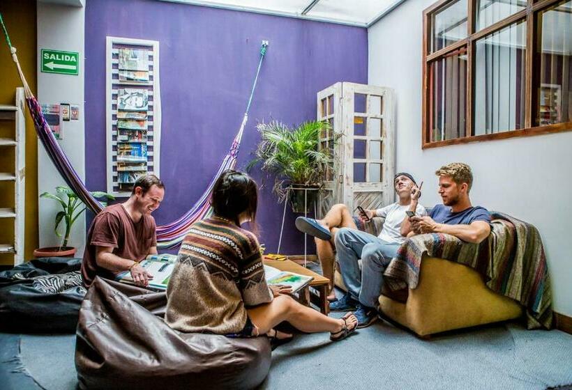تختخواب در اتاق مشترک, Minka Hostel
