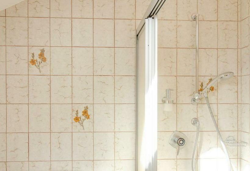 Номер Economy Индивидуальный, Garni Hotel Ritterhof