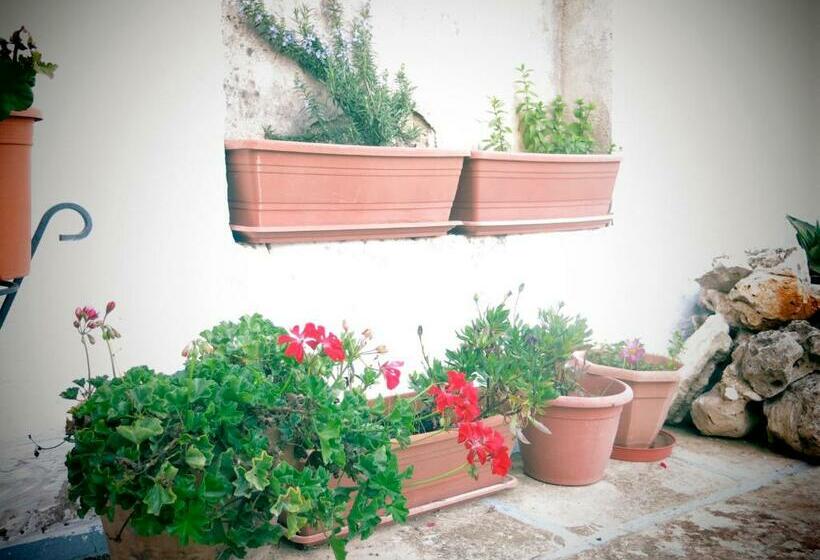 اتاق استاندارد با تراس, Volver B&b