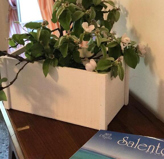 اتاق استاندارد با تراس, Volver B&b