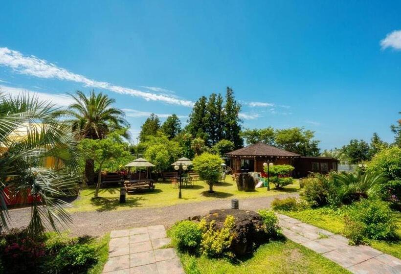 Номер Стандарт Трехместный, Jeju M Resort