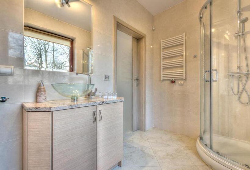 شقة ديلوكس غرفة واحدة, Dom & House   Apartments Sopot Kamienny Potok