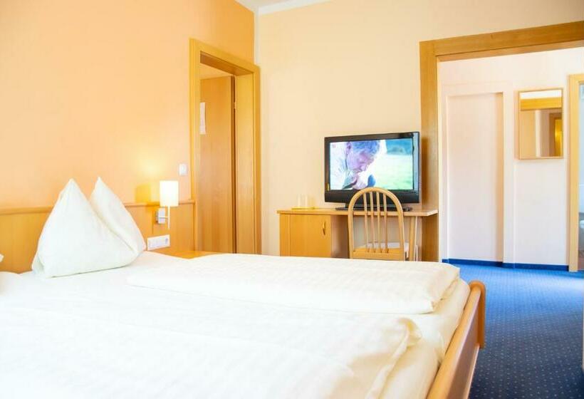 آپارتمان 1 خوابه با بالکن, Strandhotel Burgstaller