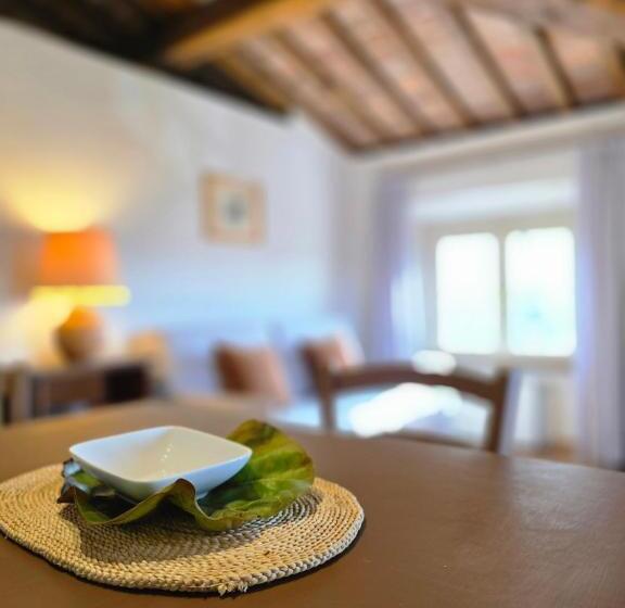 آپارتمان 1 خوابه, Residence Internazionale