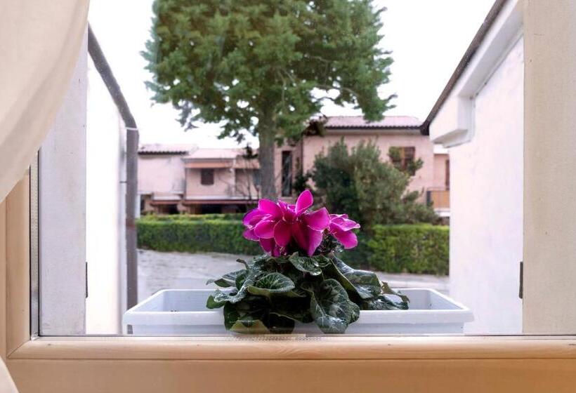 اتاق استاندارد سه نفره, Lillac Cottage