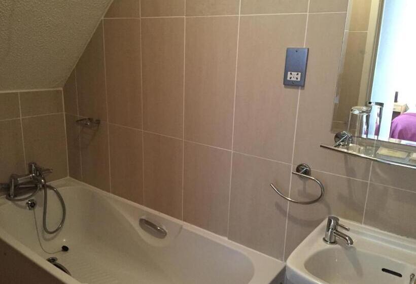 스탠다드 싱글 룸, Gwesty Nanhoron Arms