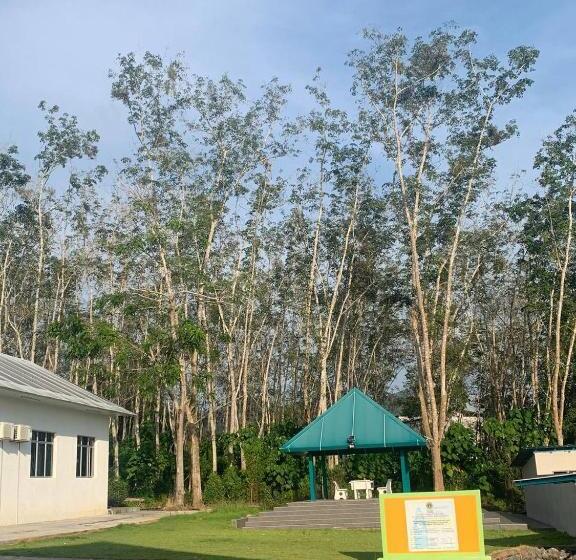Номер Deluxe с Балконом, 365 View Point Resort & Homestay
