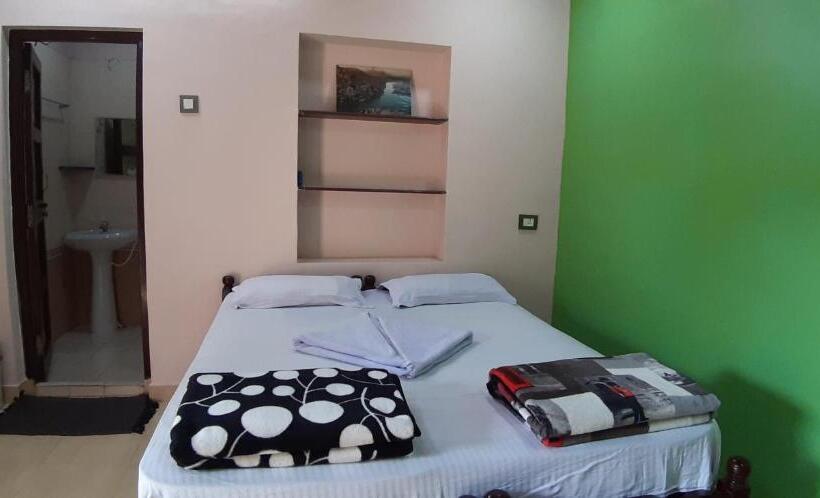 Номер Deluxe, Manasa Guest House
