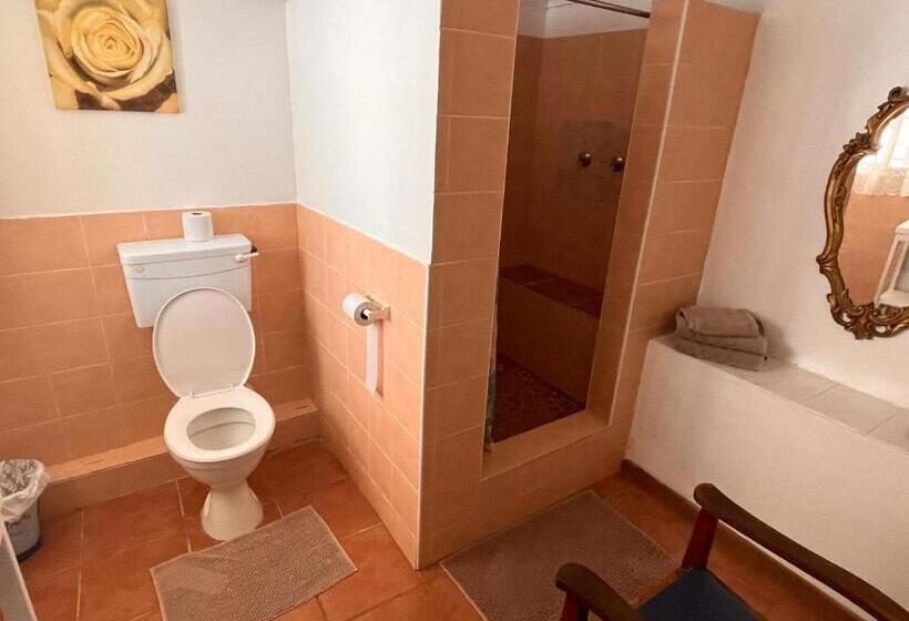 Cameră Standard, Homestead Bed And Breakfast
