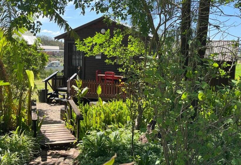 Номер Economy, Homestead Bed And Breakfast