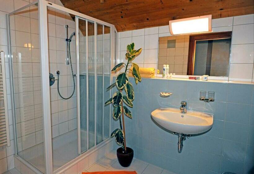 Номер Superior Одноместный, Austrian Sports Resort, Bsfz Obertraun