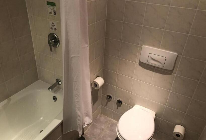 Полулюкс, Clayton Hotel Leopardstown