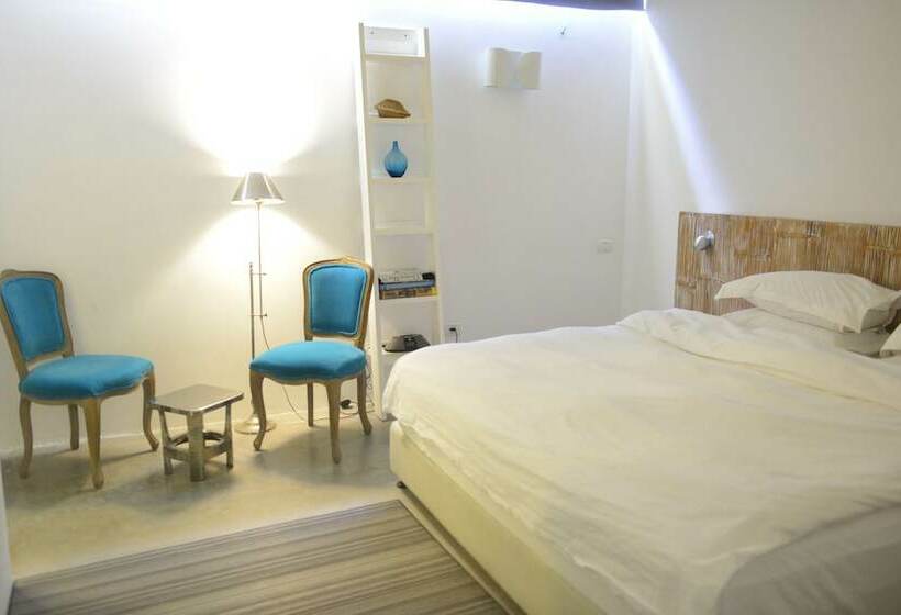 Camera Standard, Innsense