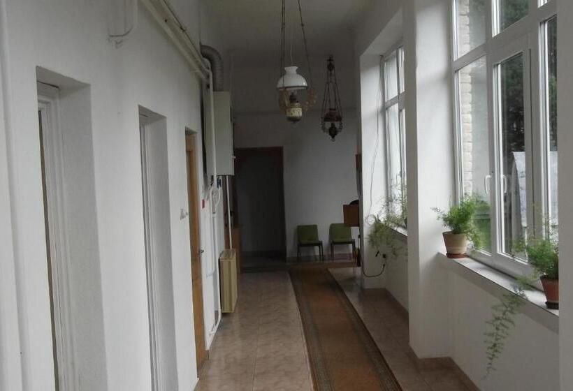 标准间, Fenyő Panzió
