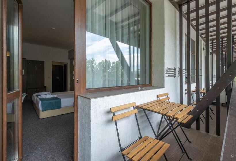 اتاق استاندارد با بالکن, Park Hotel Asenevtsi