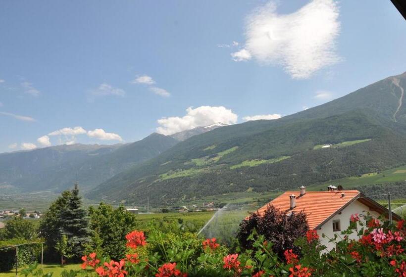 Студия Стандарт, Pension Feldgärtenhof