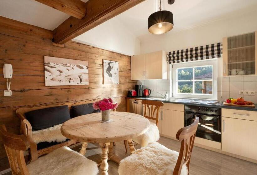 Апартаменты 1 Спальня, Appartement Hintermitterast