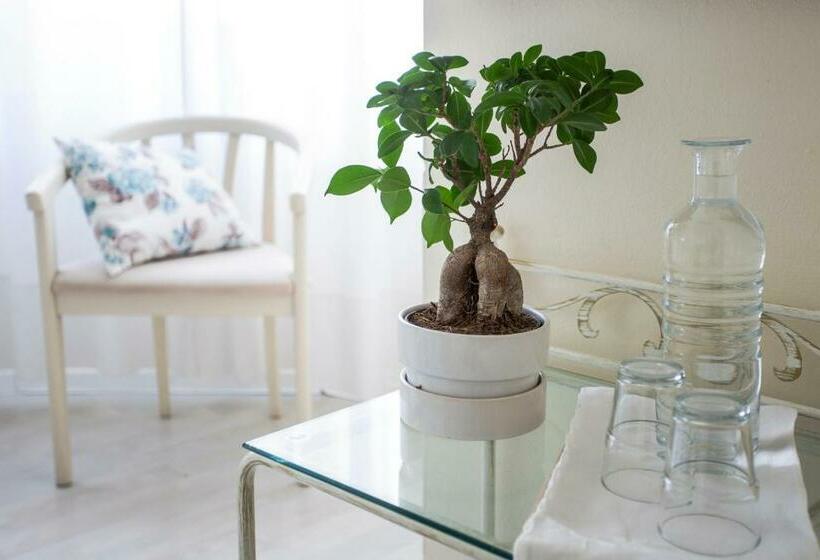 اتاق استاندارد, Antiche Mura