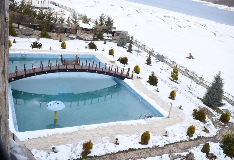 اتاق خانوادگی, Rey