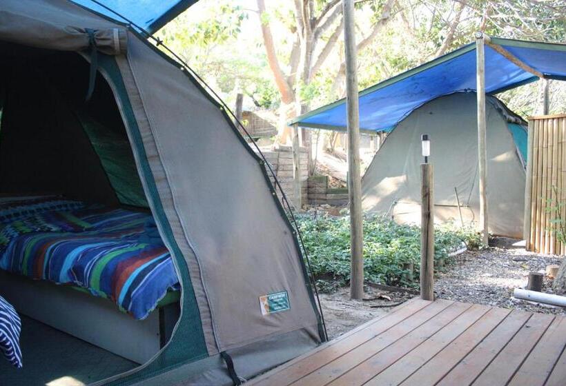 Standard Tent, Hazyview Adventure Backpackers