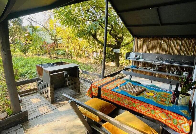 جناح عائلي, Hazyview Adventure Backpackers