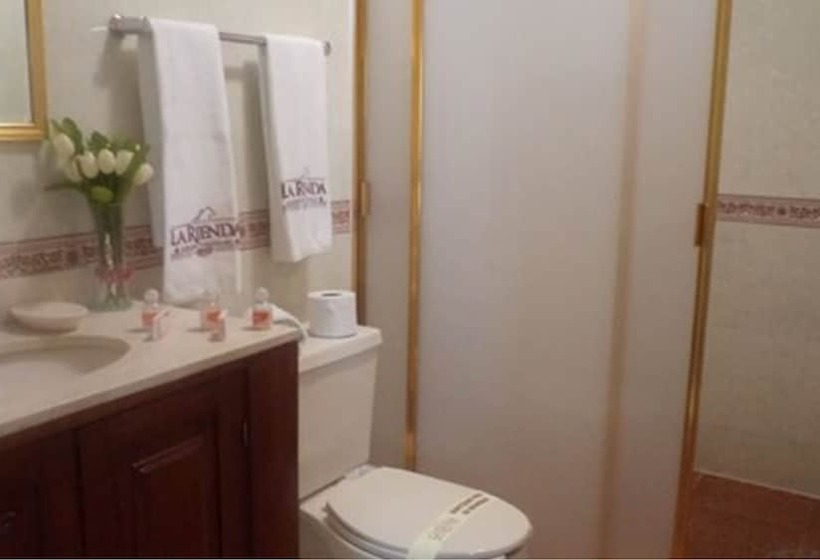 Cameră Standard, La Rienda Mision Tequillan