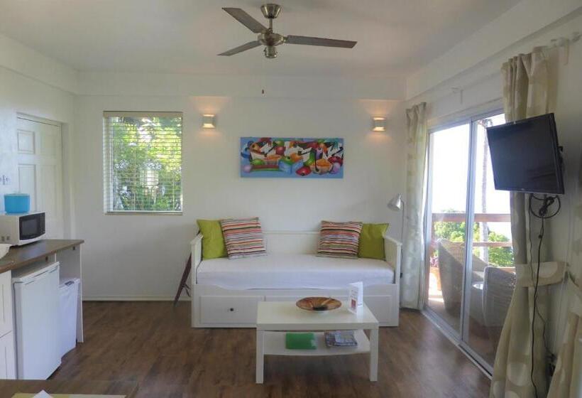 آپارتمان لوکس 1 خوابه, Marigot Palms Luxury Caribbean Apartment Suites