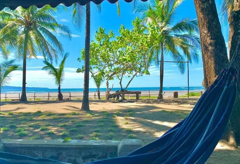패밀리 방갈로, Oasis & Surf Camp