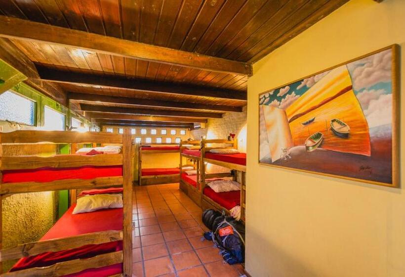 Cama en Habitación Compartida, The Trip Hostel