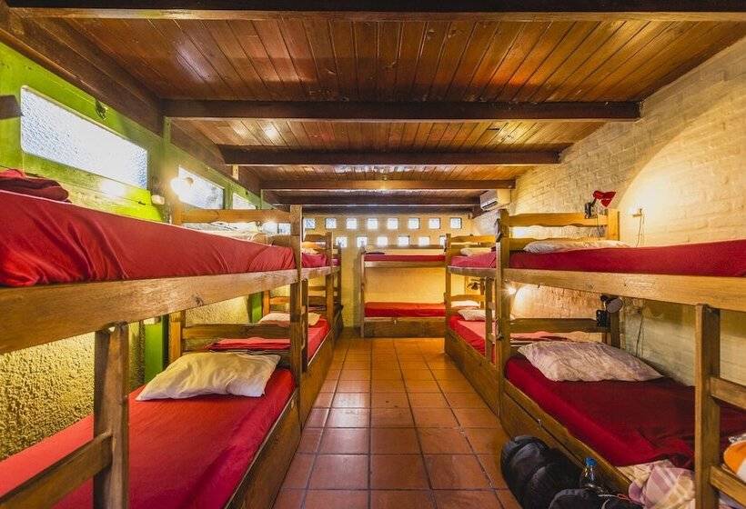 Cama en Habitación Compartida, The Trip Hostel