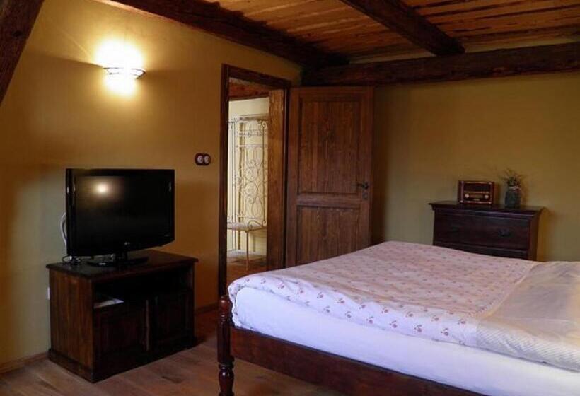 Номер бизнес-класса, Dvůr Olšiny  Hotel And Horse Riding