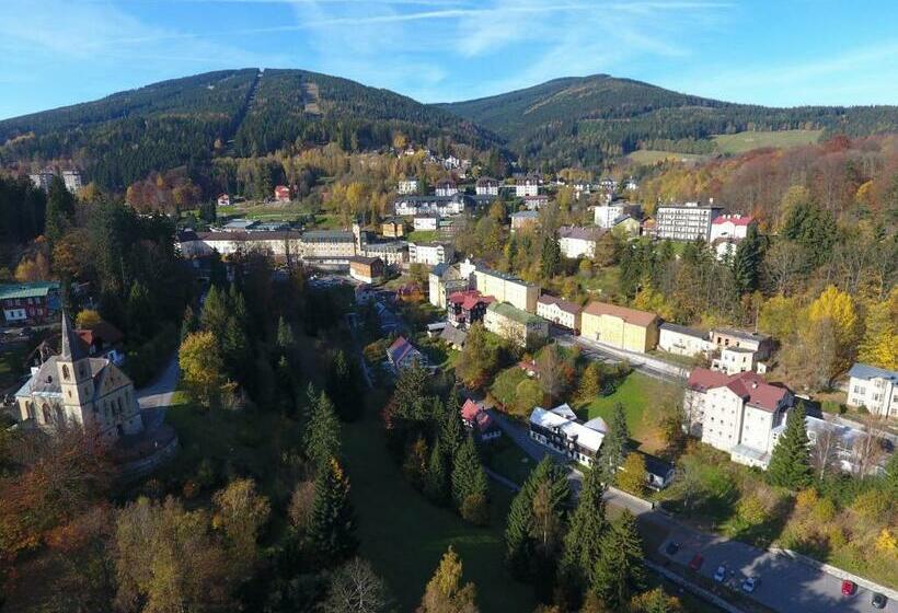 Номер Стандарт, Astoria With Private Skibus