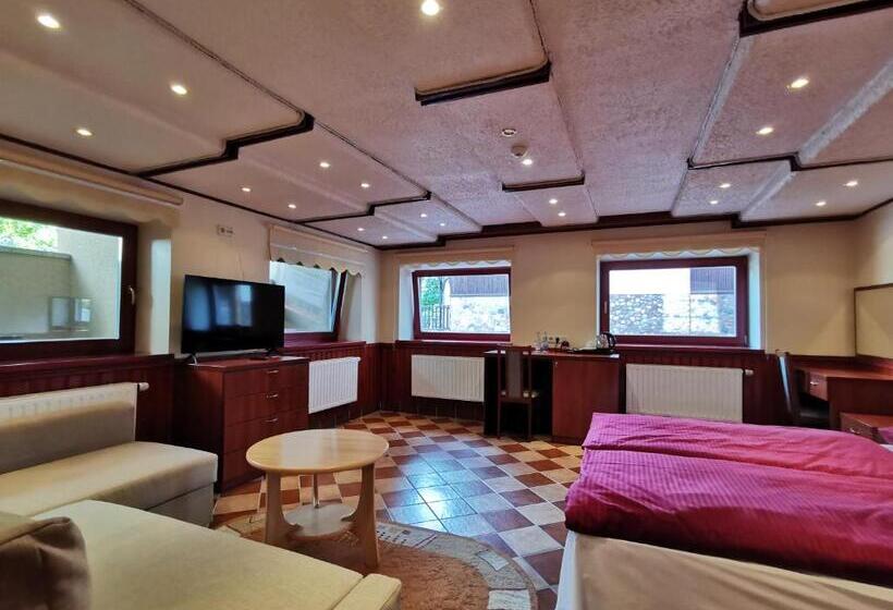 اتاق استاندارد, Galia Apartments In Druskininkai