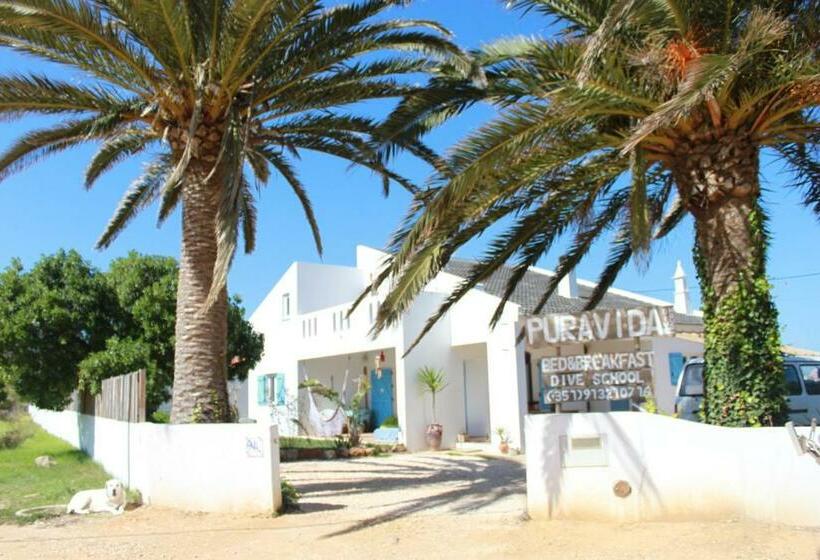 Студия Стандарт, Puravida Divehouse