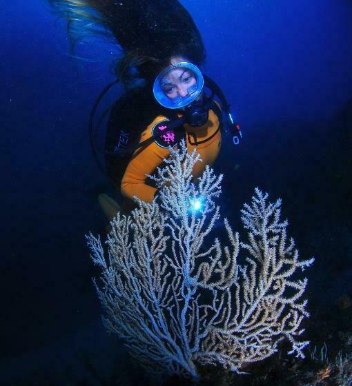 Студия Стандарт, Puravida Divehouse