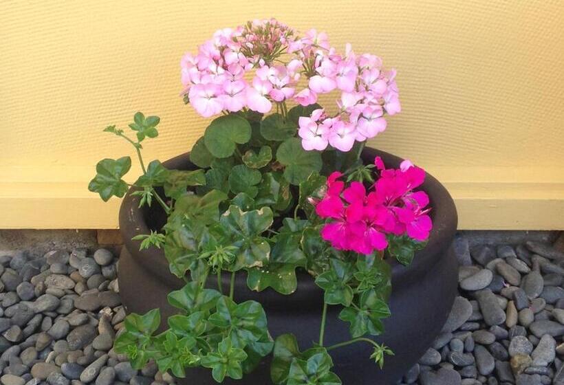 דירת חדר, Mount View Motel Hawera