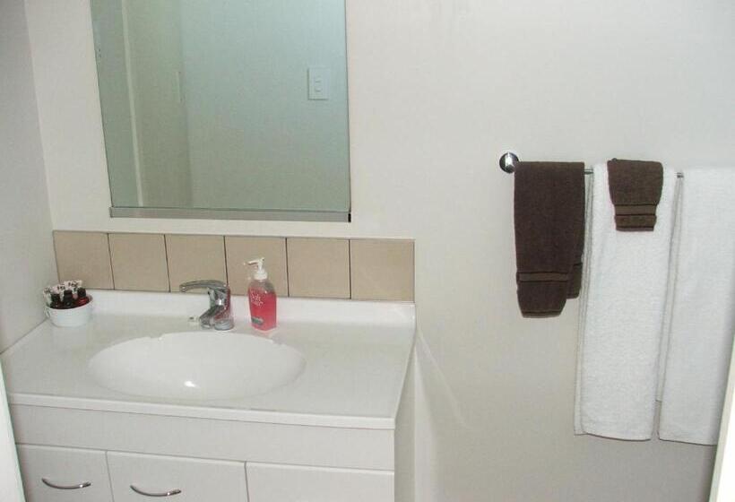 Студия Deluxe, Mount View Motel Hawera