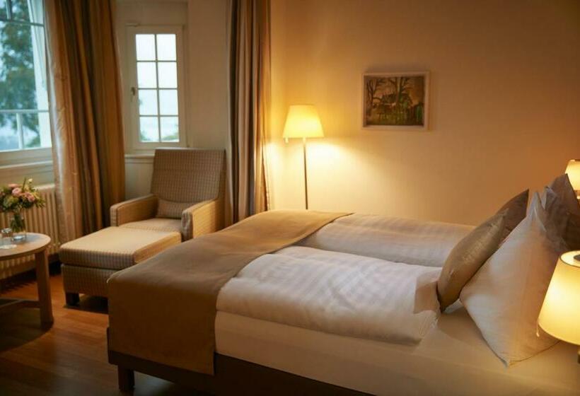 اتاق استاندارد, Kurhotel Sonnmatt Luzern