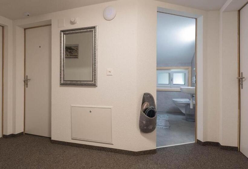Номер Базовый Одноместный Совместный Санузел, Lehmann's Herberge Hostel