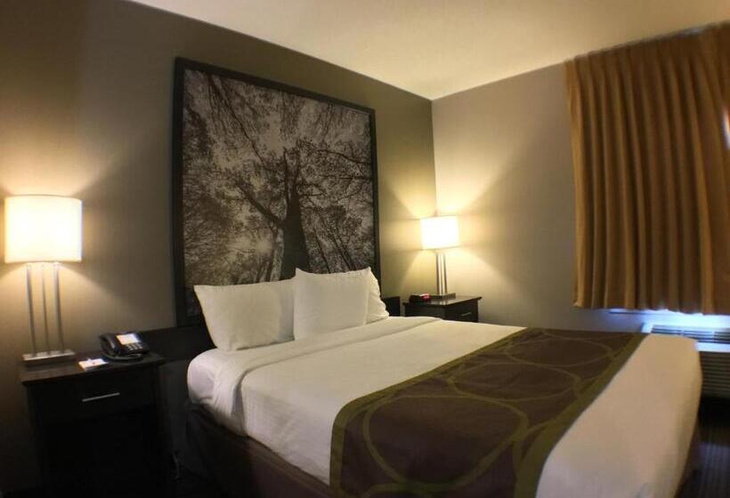 غرفة قياسية لذوى الاحتياجات الخاصة, Super 8 By Wyndham Kapuskasing