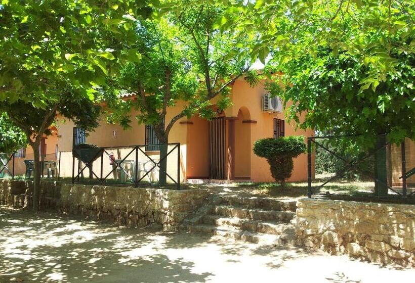 スタンダードバンガロー, Camping Bungalows Cabañas La Vera