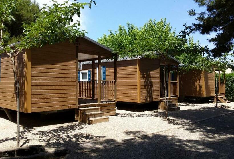 بنجلو قياسى, Camping L'alqueria